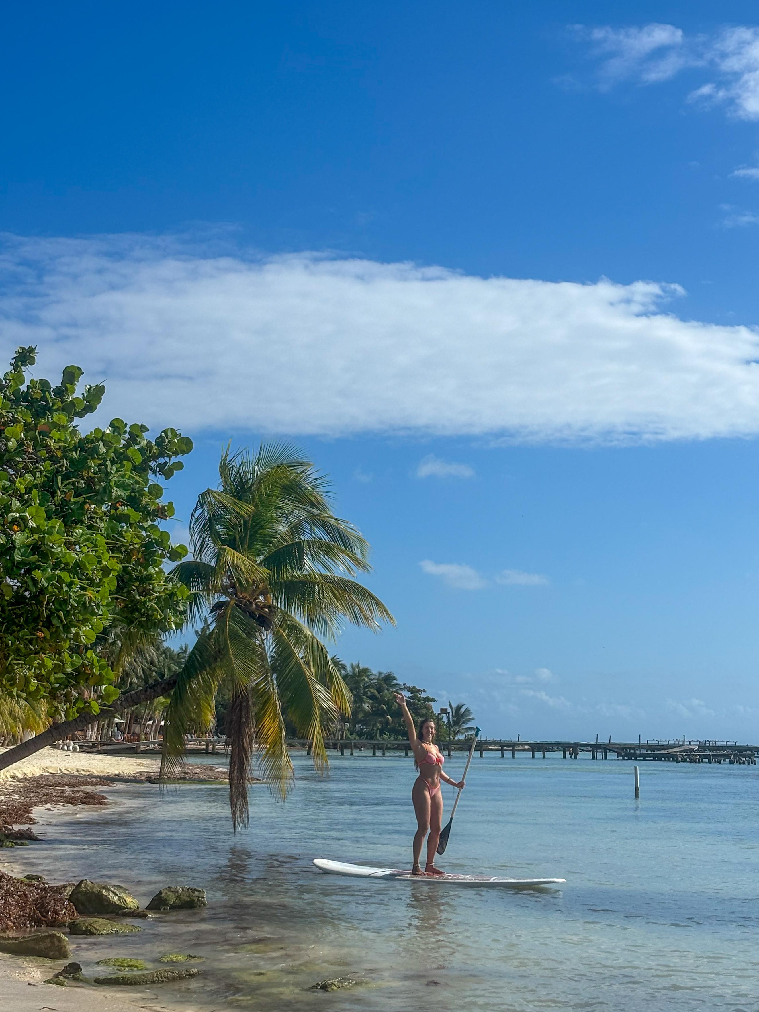 Paddle no Mayan Monkeys